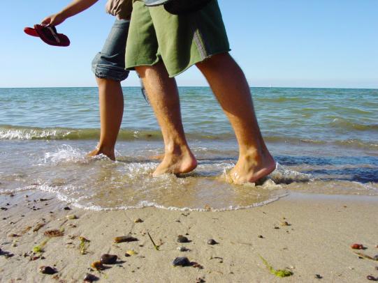 Ferienhäuser Ferienhof Mechelsdorf - Urlaubssaison eröffnet