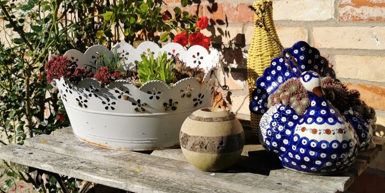 Ferienhaus 3 Ferienhof Mechelsdorf