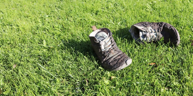 Ferienhof Mechelsdorf